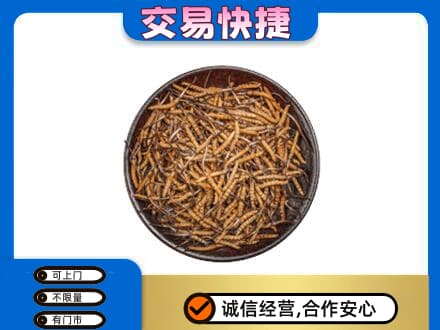 衡阳回收散虫草
